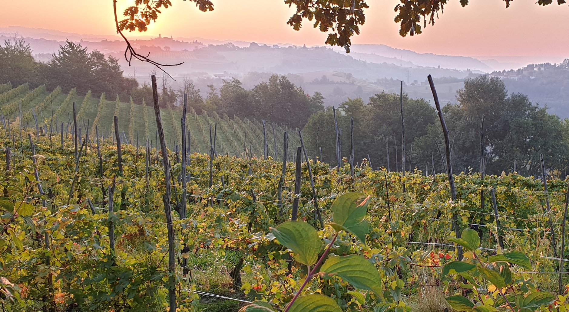 cosa fare vedere Langhe